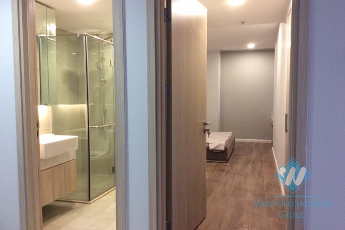 Beautiful apartment for rent in The Artemis, Le Trong Tan street.